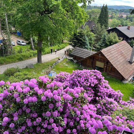 Apartament Wiktoria Шклярска-Поремба Экстерьер фото